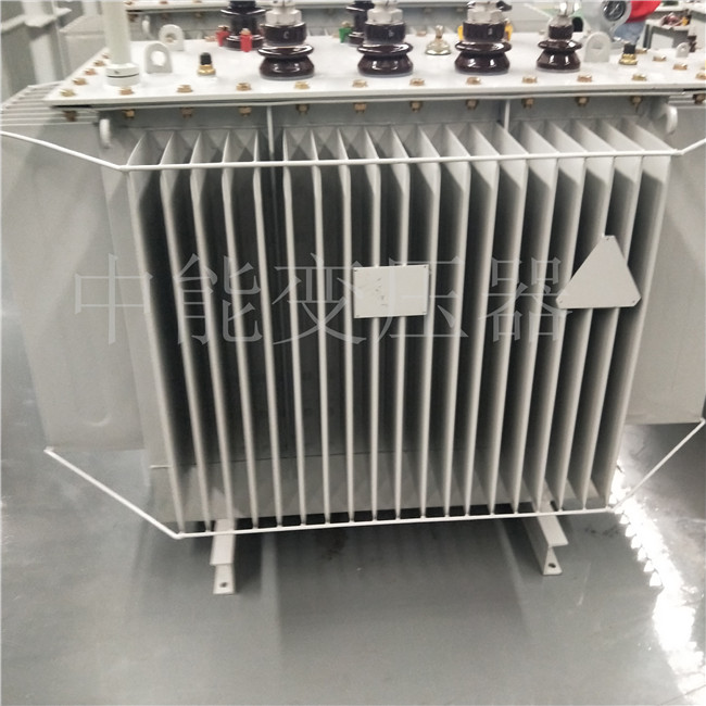 白银S20-800KVA变压器