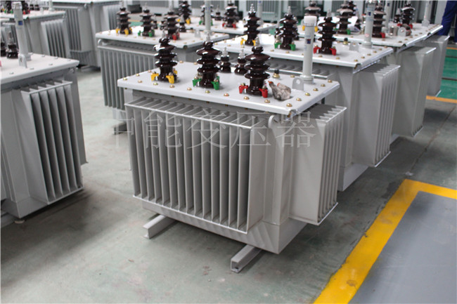 白银S22-250KVA/10KV变压器